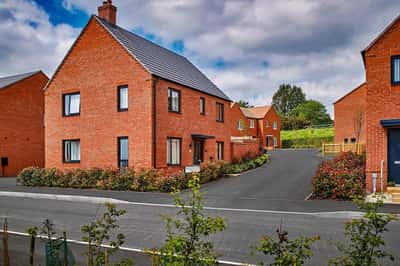 Gresley Meadow - Image 3