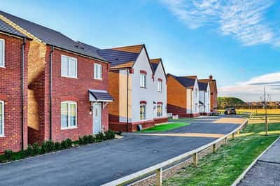 Meadow Green - Image 3