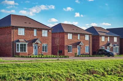 Meadow Green - Image 4