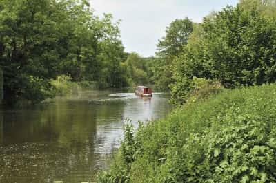 Oakapple Place - Image 3