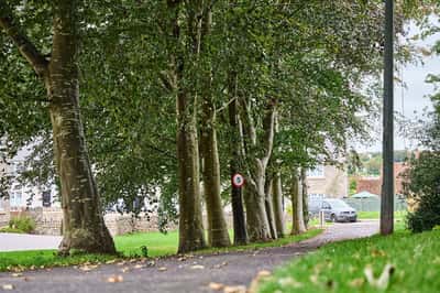 The Grange - Image 3