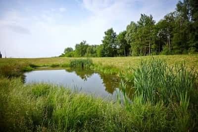 The Mill at Polegate - Image 1