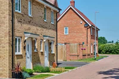 Thorn Fields - Image 1