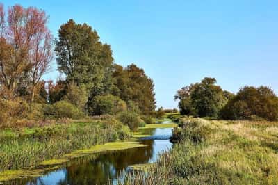 Whittlesey Fields - Image 10