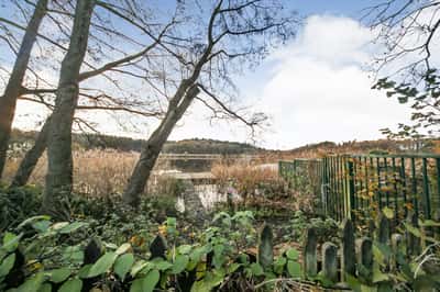 Delamere Road, Norley - Image 1