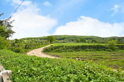 Parks Avenue, South Wingfield - Image 15