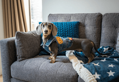 1 bedroom apartment at The Quarters - Image 18