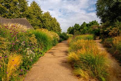 2 bedroom apartment at East Village - Image 21