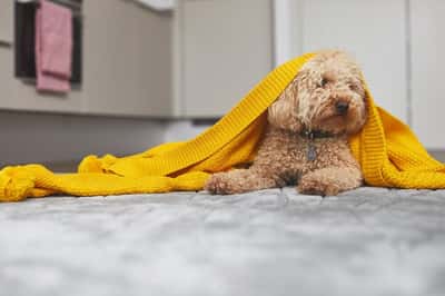 1 bedroom apartment at East Village - Image 18