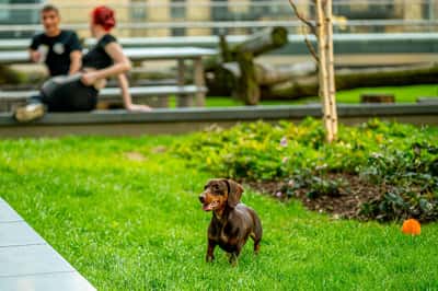 1 bedroom apartment at Elephant Central - Image 14