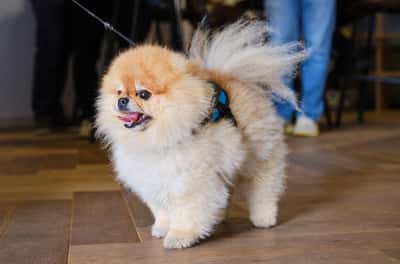 1 bedroom apartment at Elephant Central - Image 25