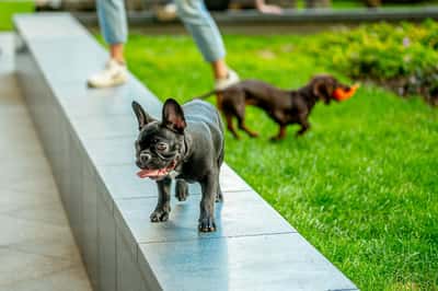 2 bedroom apartment at Elephant Central - Image 4