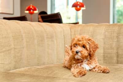 Studio apartment at The Lark - Image 15