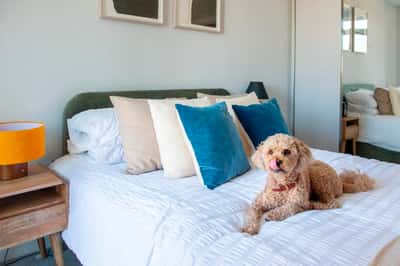 Studio apartment at The Lark - Image 16