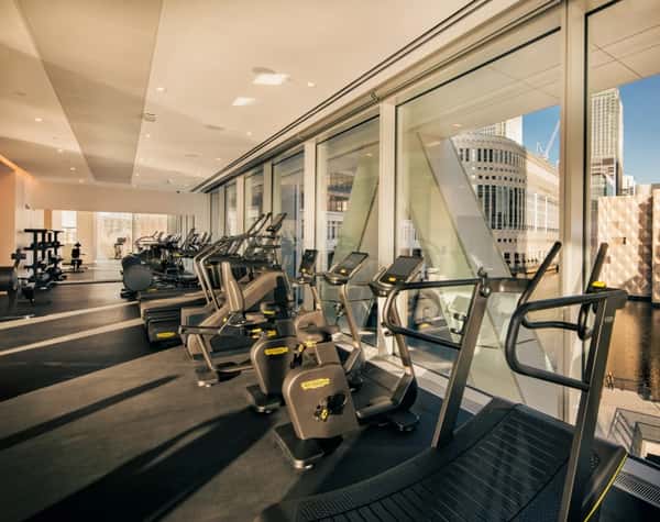 Newfoundland - Image 5