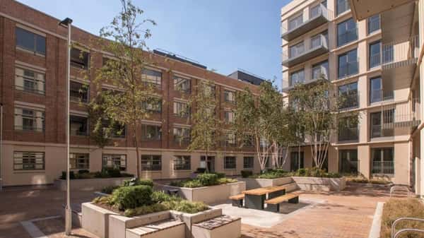 Sugar House Island - Image 9