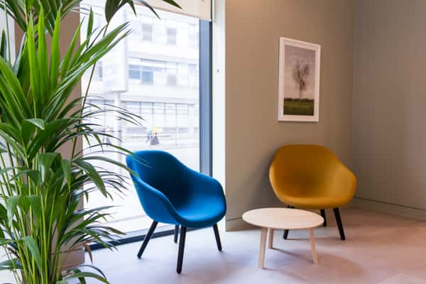 The Picture House - Image 6