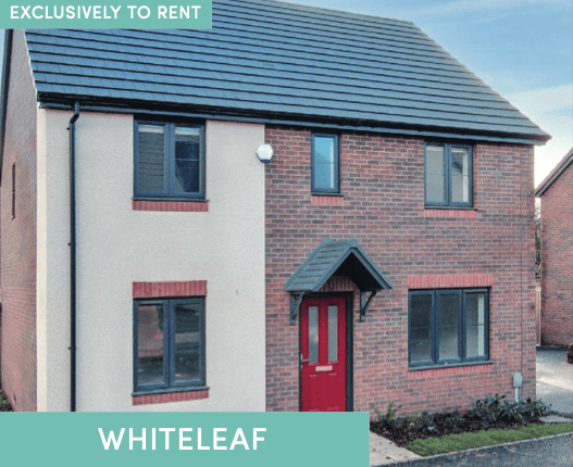 Westminster Walk - Image 4