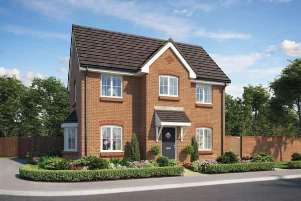 Amber Rise - Image 2