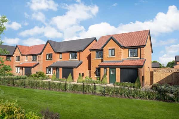 Ashberry at Jellicoe - Image 1