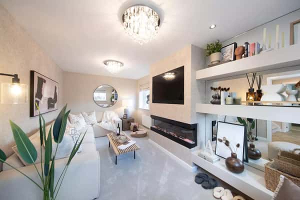 The Acorns - Image 2