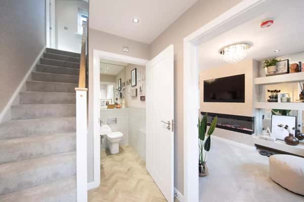 The Acorns - Image 9