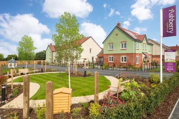 The Wickets - Image 2