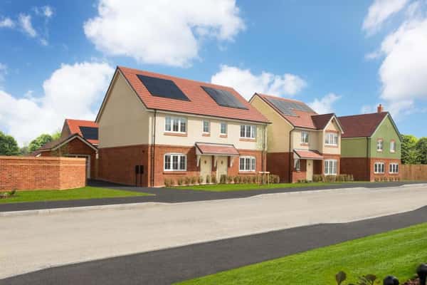 The Wickets - Image 3