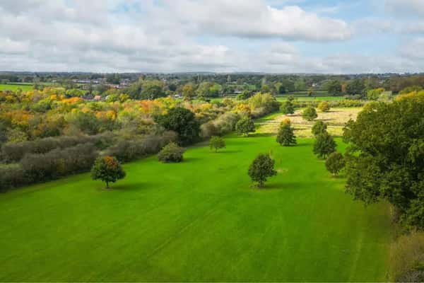 Yew Tree Meadows - Image 9