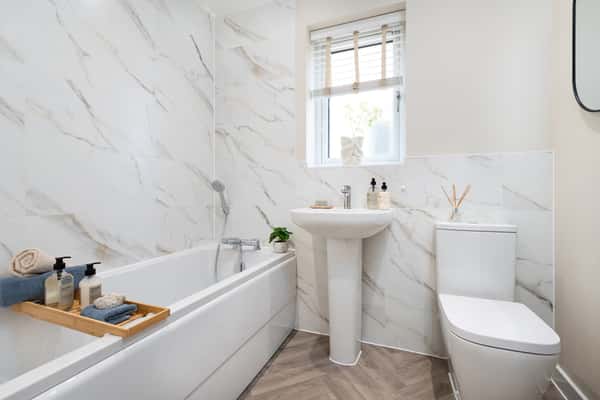 Eden Fields - Image 8