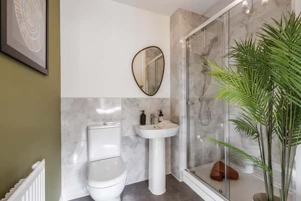 Radford's Meadow - Image 20