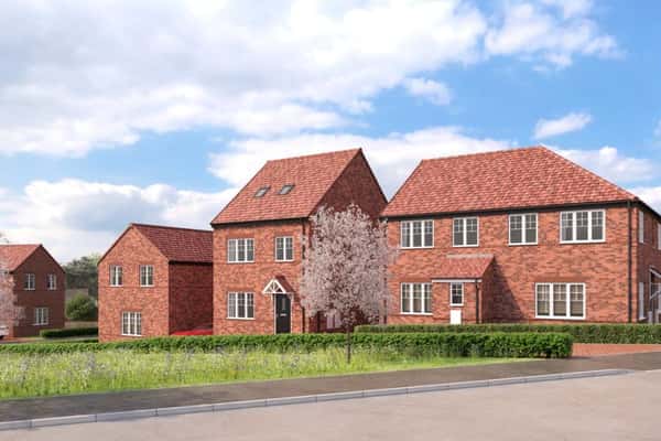 Seely Fields - Image 2