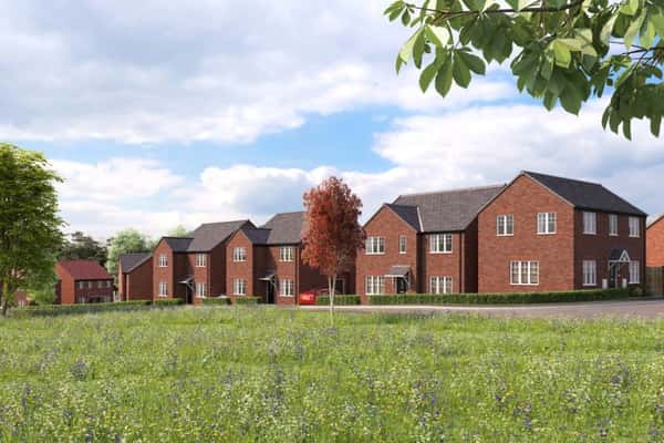 Seely Fields - Image 4