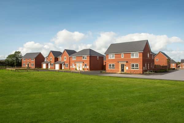 Bertelin Fields - Image 3