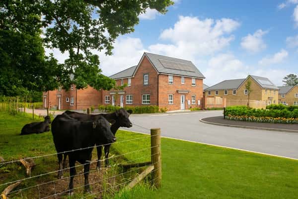 Carleton Chase - Image 1