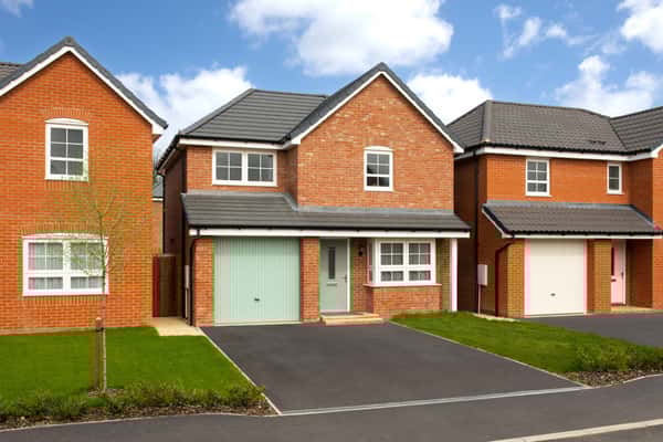 Ceres Rise - Image 15