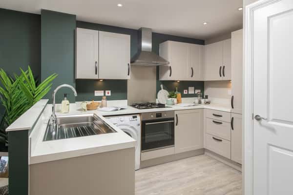 Darwin Green - Image 13