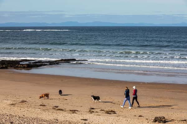 Findrassie - Image 8