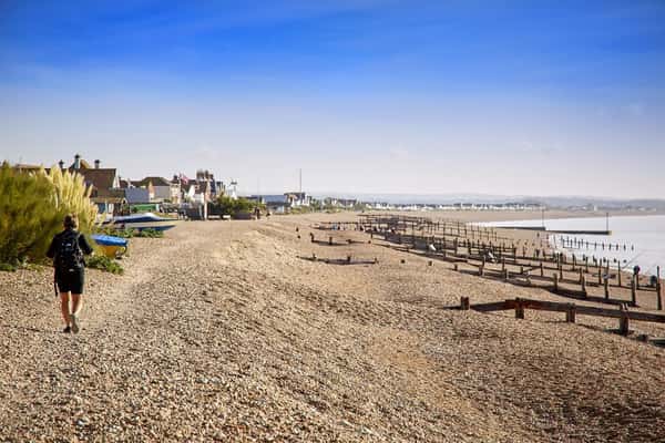 Hawthorn Grove - Image 9