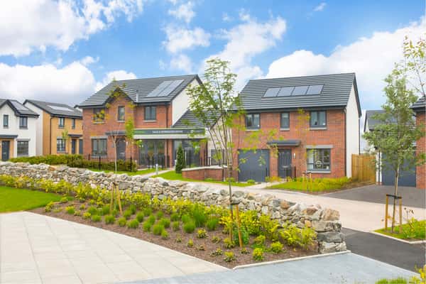 King's Gallop - Image 6