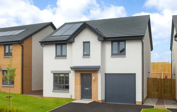 King's Gallop - Image 11