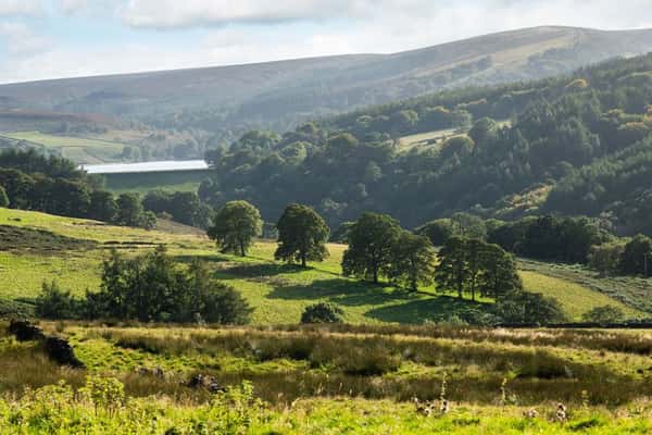 Midshires Meadow - Image 10