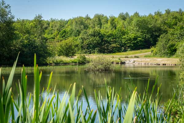 Monkton Gardens - Image 9
