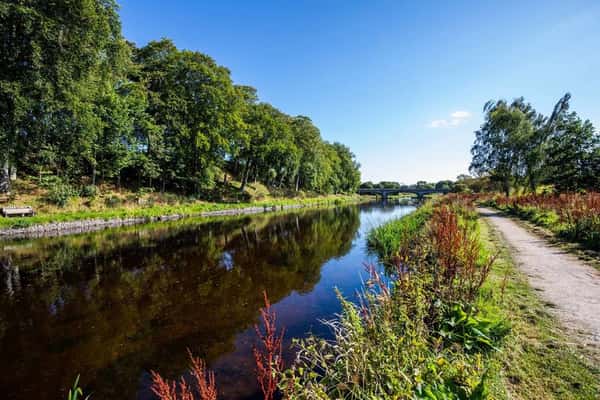 Osprey Heights - Image 9