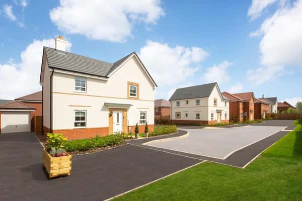 The Lilies - Image 6