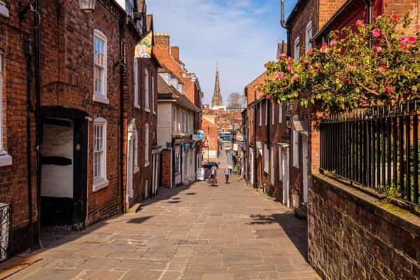 The Lilies - Image 9