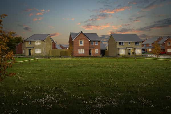 Waldmers Wood - Image 5