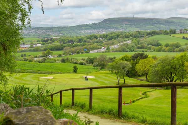 Waldmers Wood - Image 8