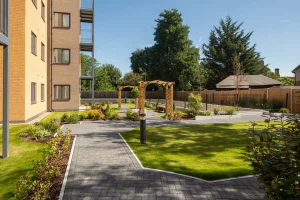 Belmont Park - Image 5