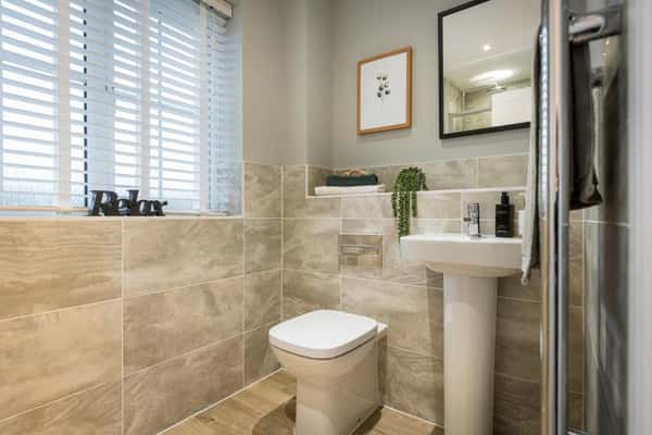 Bronze Fields - Image 13